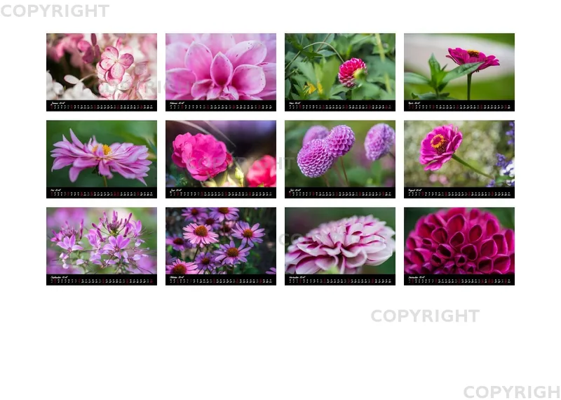 (44) Bildkalender A4 quer - Pink Flowers 2018