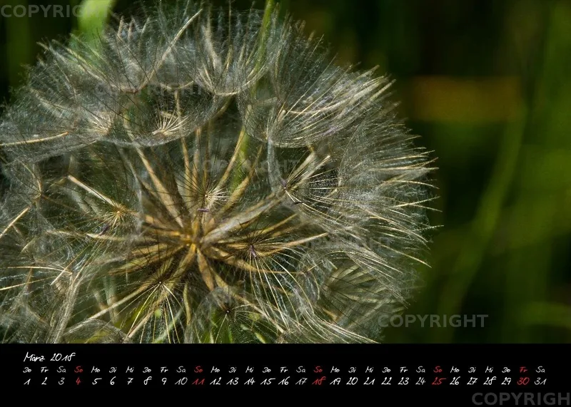 (3) Tischkalender A5 quer - Momente 2018