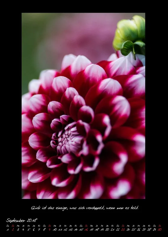 (27) Bildkalender A3 hoch - Natur im Detail 2018