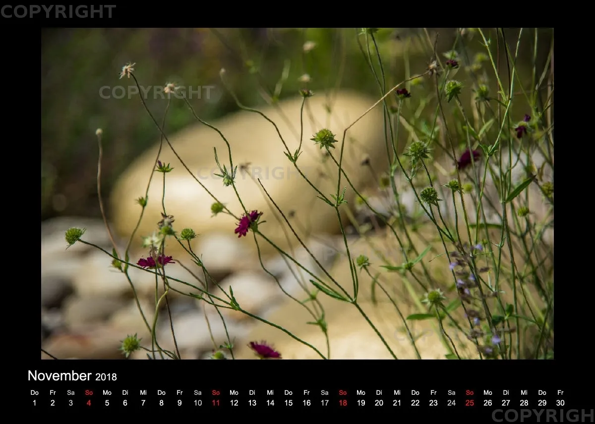 (46) Bildkalender A4 quer - Gartenschau 2018