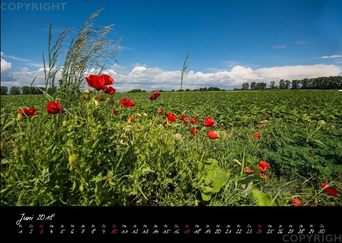 (1) Bildkalender A3 quer - Reilingen 2018