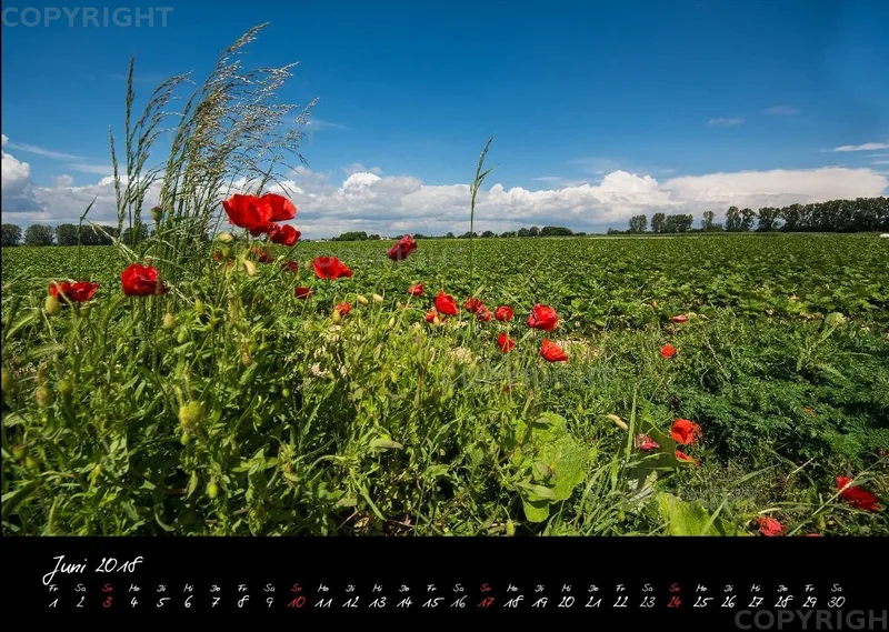 (1) Bildkalender A3 quer - Reilingen 2018