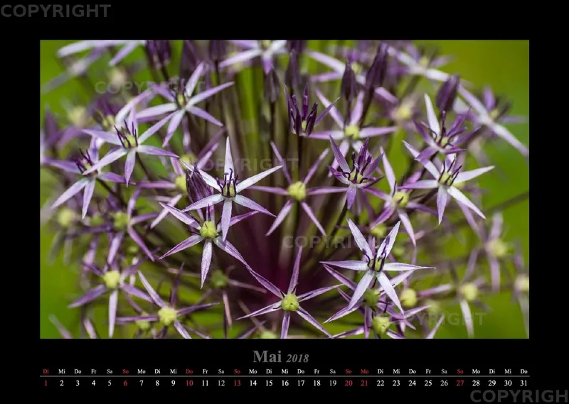 (22) Bildkalender A3 quer - Blumige Zeiten 2018