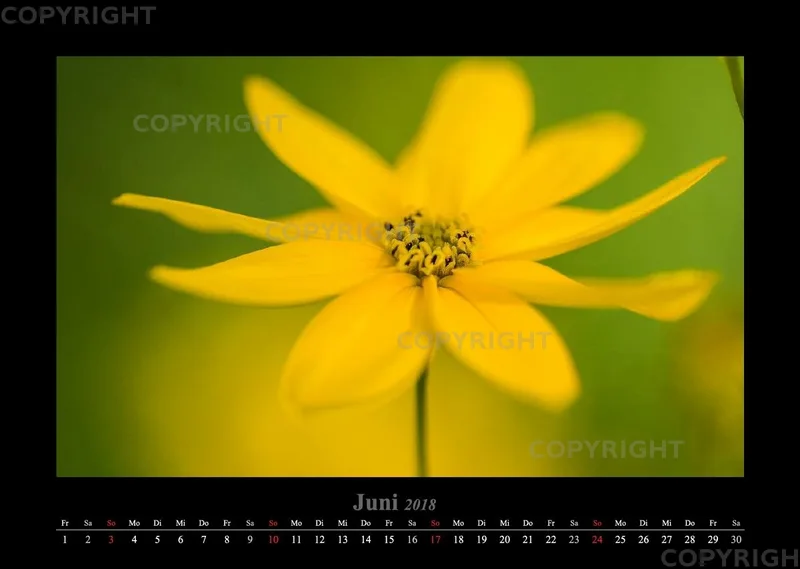 (22) Bildkalender A3 quer - Blumige Zeiten 2018