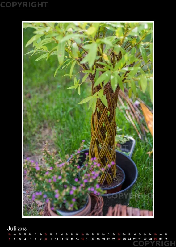 (48) Bildkalender A4 hoch - Gartenschau 2018