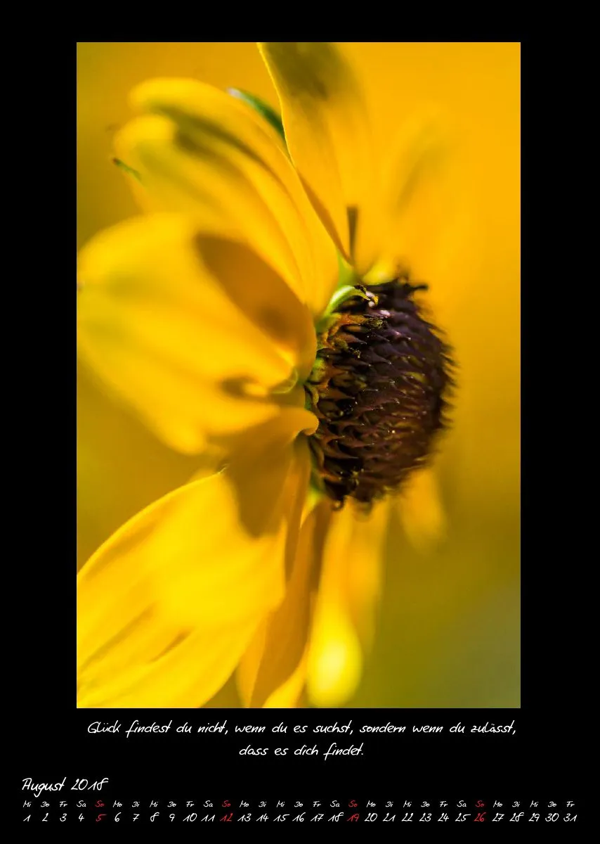 (27) Bildkalender A3 hoch - Natur im Detail 2018