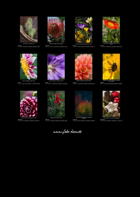 (27) Bildkalender A3 hoch - Natur im Detail 2018