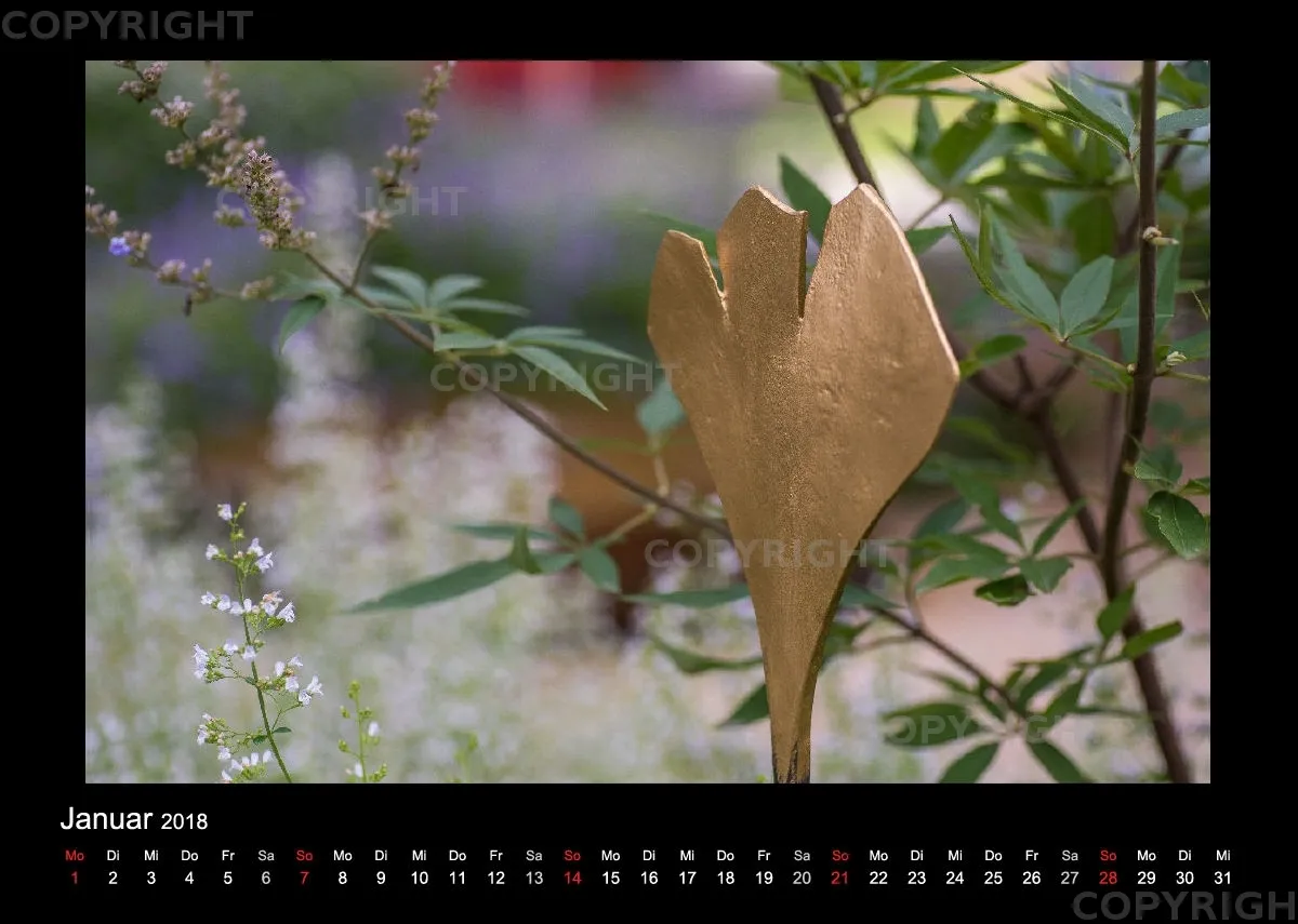 (46) Bildkalender A4 quer - Gartenschau 2018
