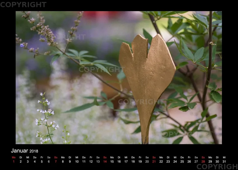 (46) Bildkalender A4 quer - Gartenschau 2018