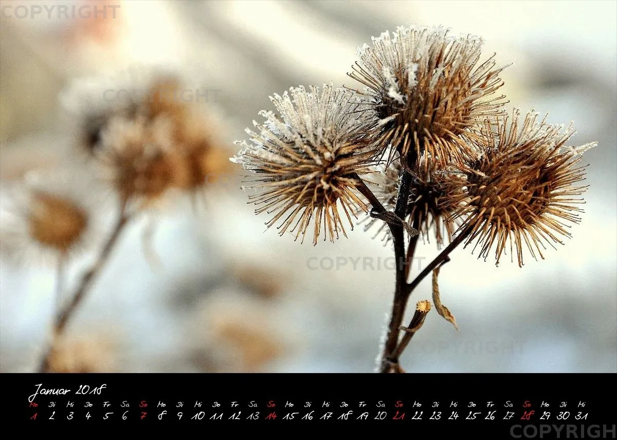 (7) Bildkalender A4 quer - Momente 2018