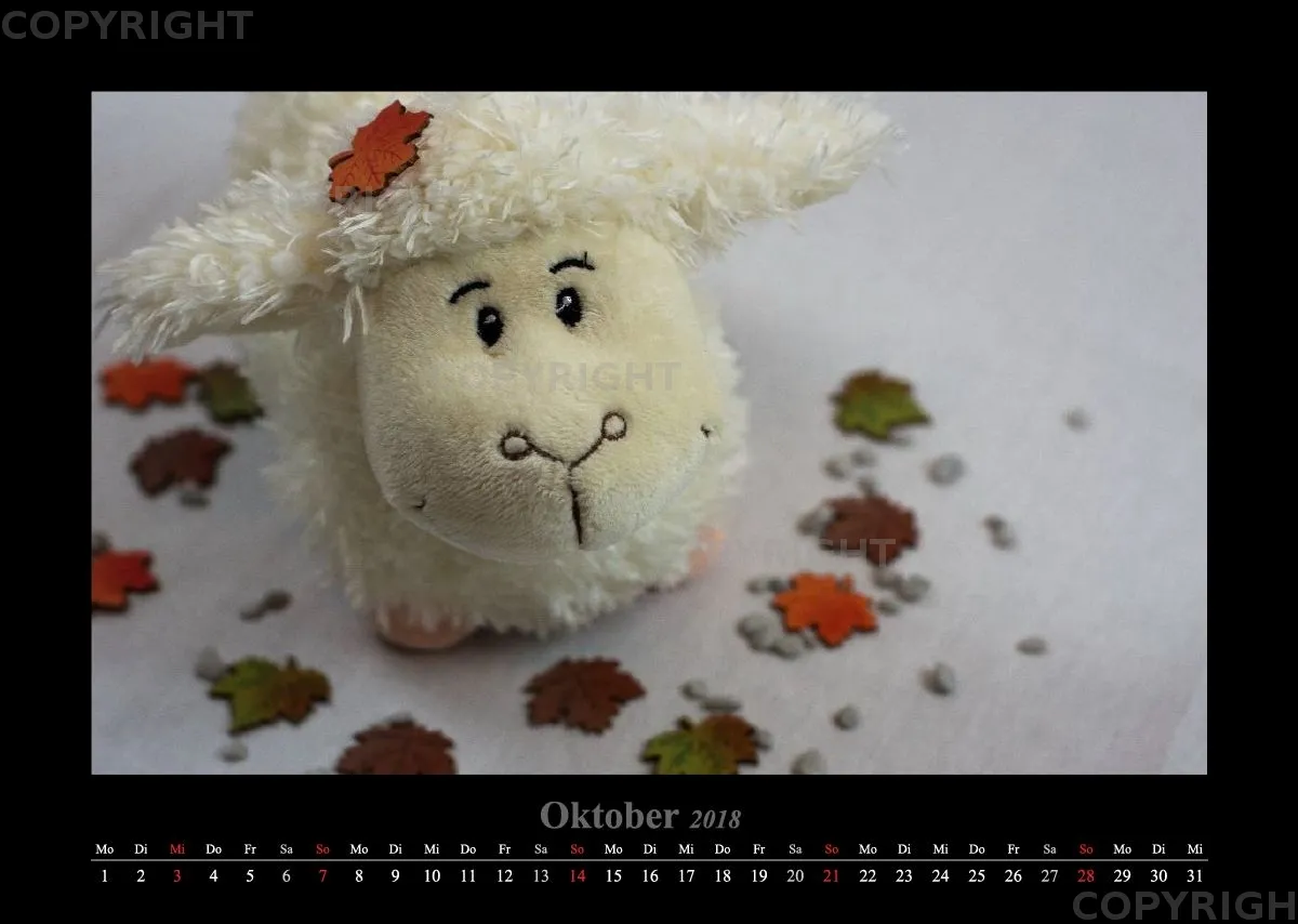(14) Bildkalender A3 quer - Schafe Momente 2018