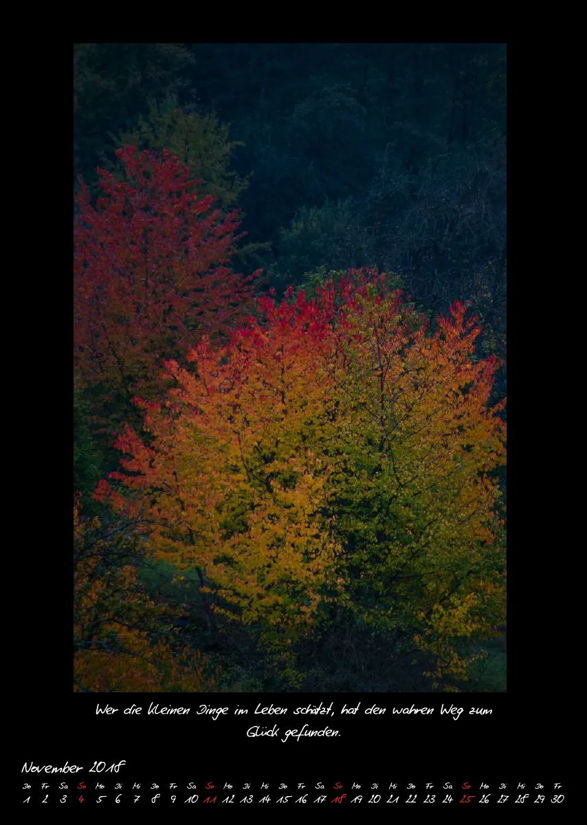 (27) Bildkalender A3 hoch - Natur im Detail 2018