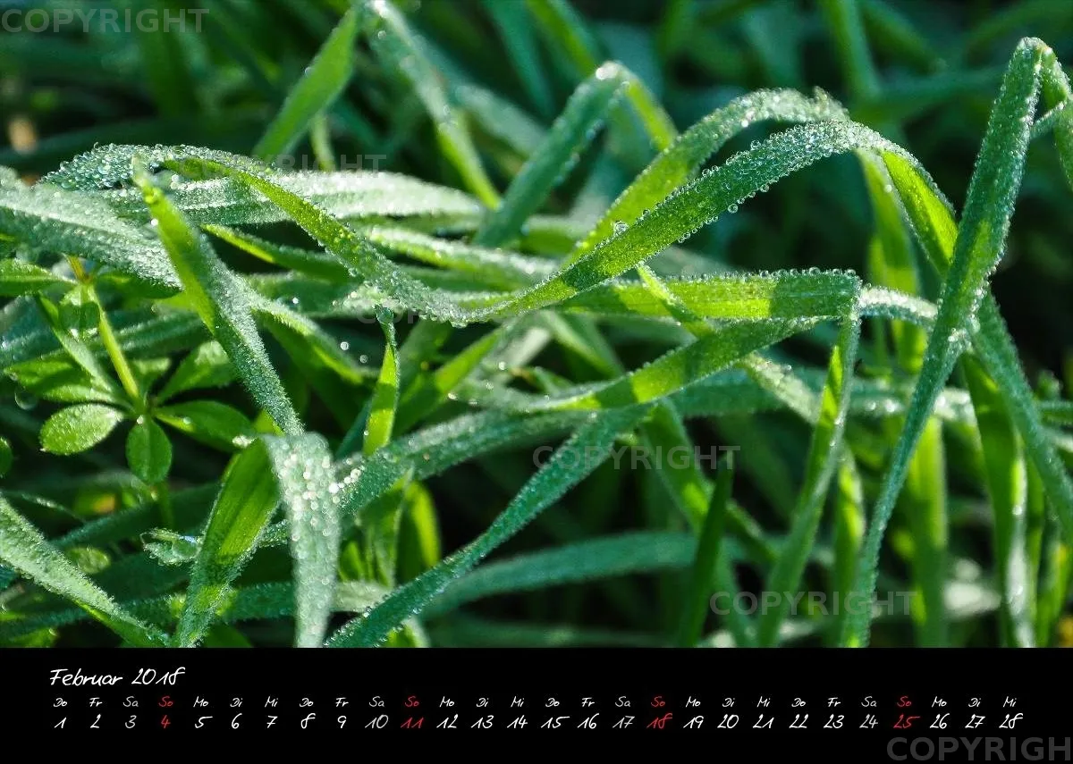 (7) Bildkalender A4 quer - Momente 2018