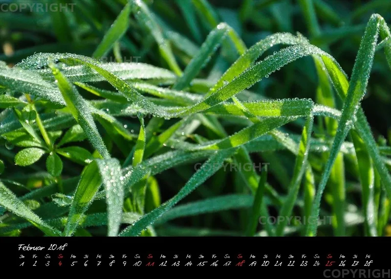 (7) Bildkalender A4 quer - Momente 2018