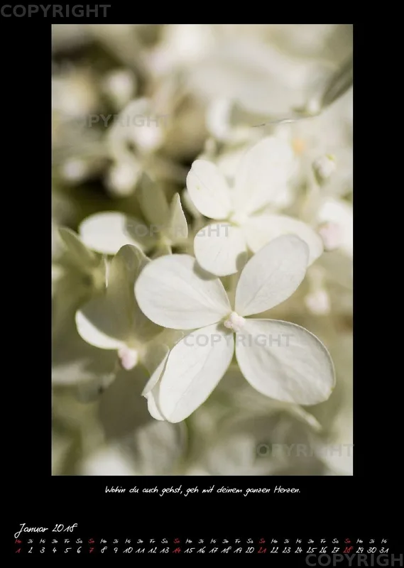 (35) Bildkalender A3 hoch - Naturpoesie 2018