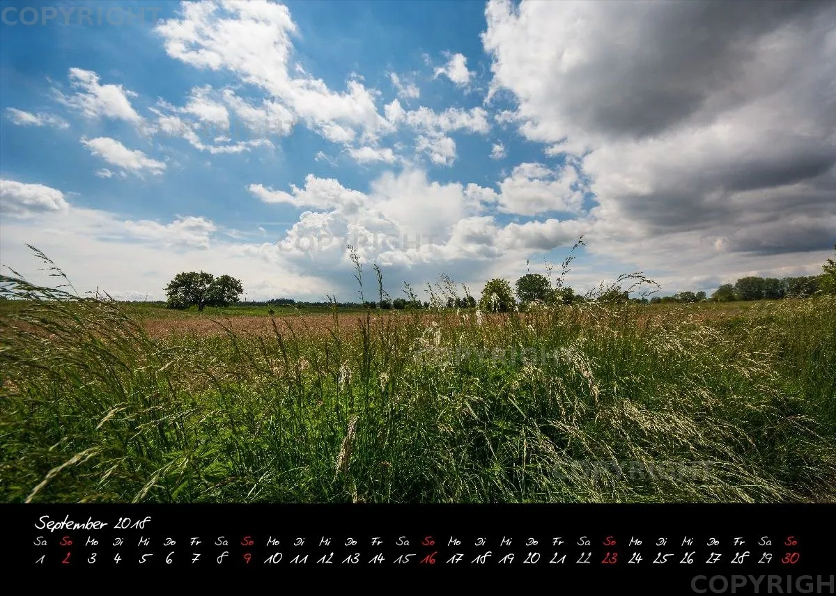 (2) Tischkalender A5 quer - Reilingen 2018