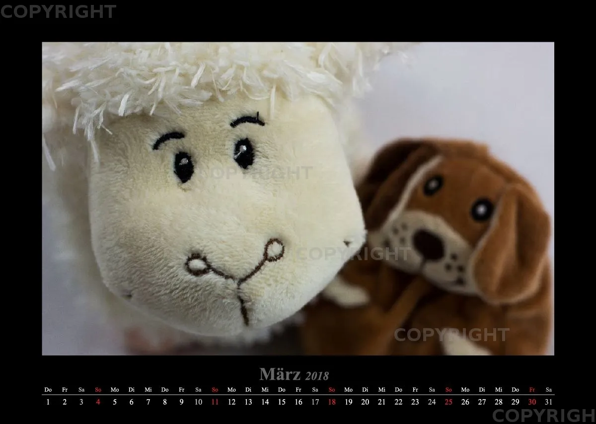 (14) Bildkalender A3 quer - Schafe Momente 2018
