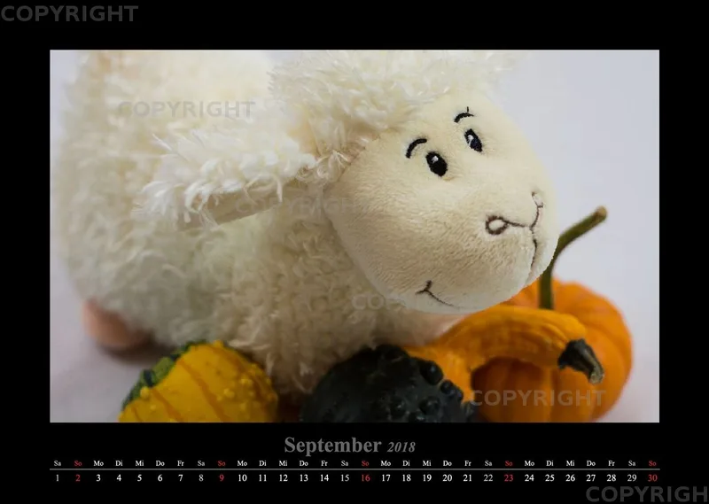 (14) Bildkalender A3 quer - Schafe Momente 2018
