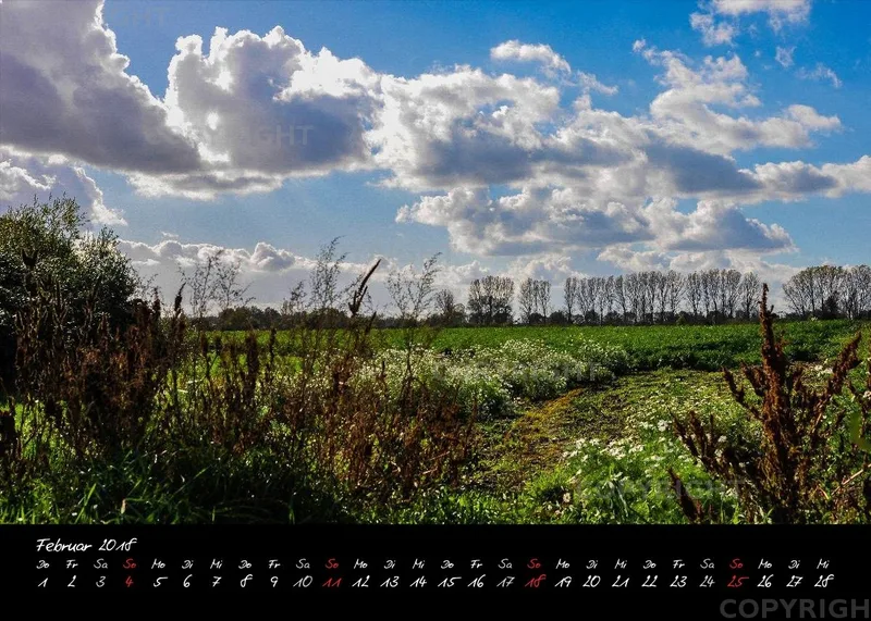 (2) Tischkalender A5 quer - Reilingen 2018