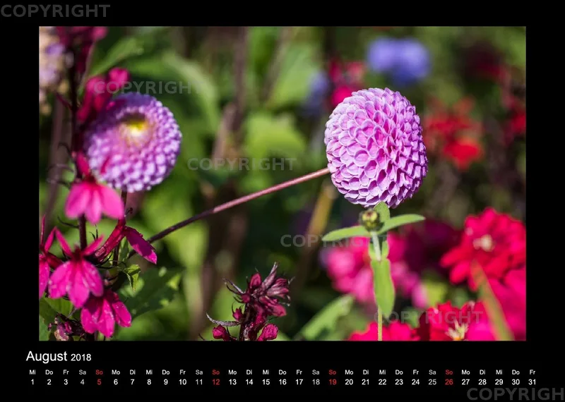 (46) Bildkalender A4 quer - Gartenschau 2018