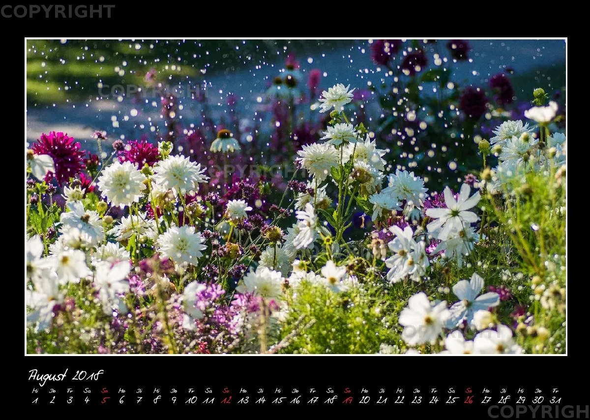 (33) Bildkalender A3 quer - Glücksmomente 2018