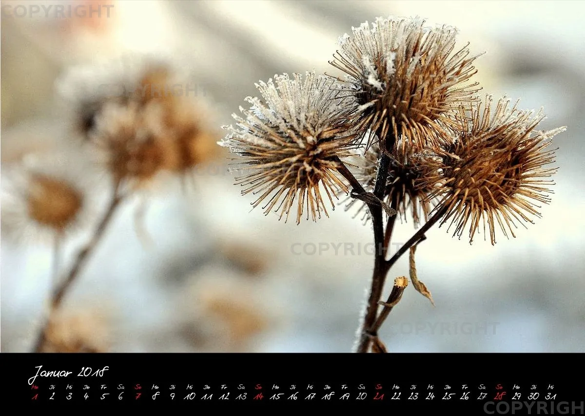 (4) Bildkalender A3 quer - Momente 2018