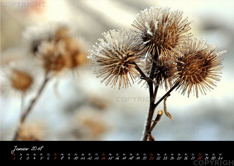 (4) Bildkalender A3 quer - Momente 2018