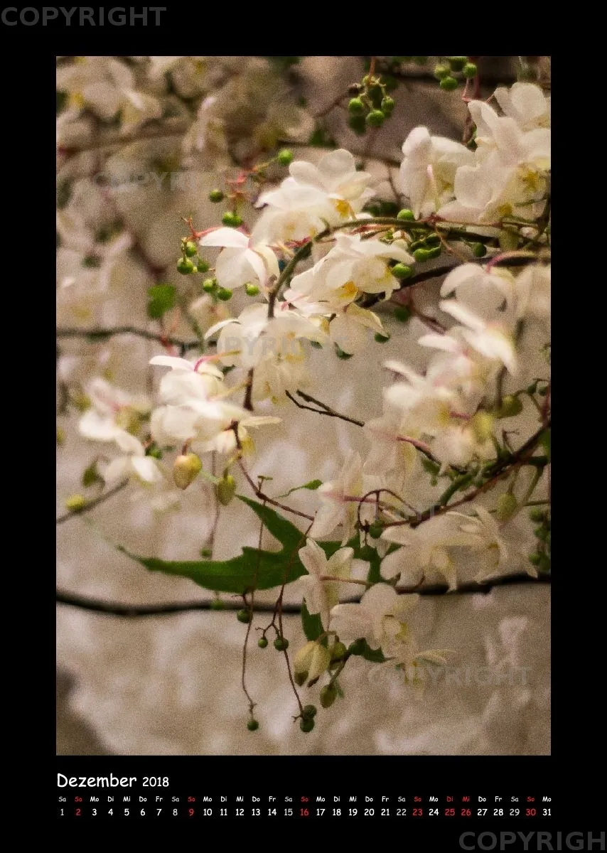 (34) Bildkalender A3 hoch - Gartenschau-Grüße 2018