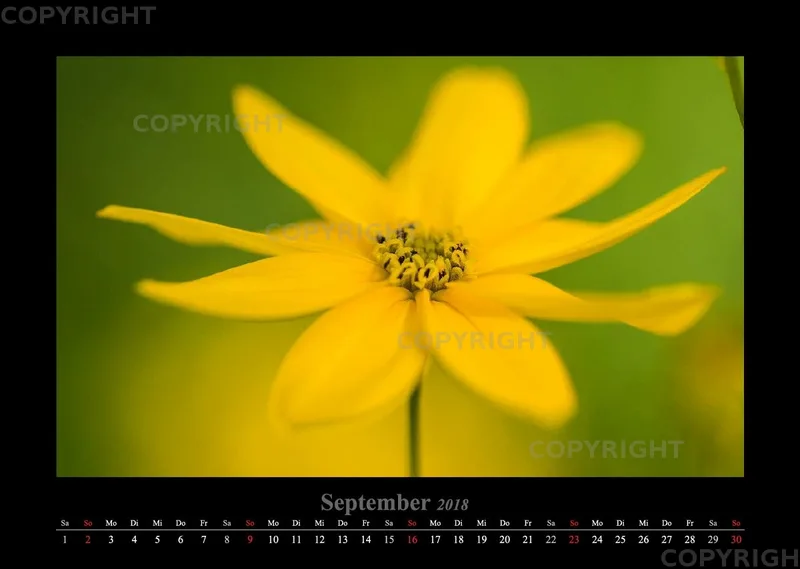 (46) Bildkalender A3 quer - Luisenpark Mannheim 2018