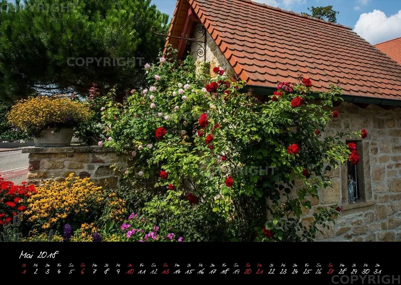 (1) Bildkalender A3 quer - Reilingen 2018