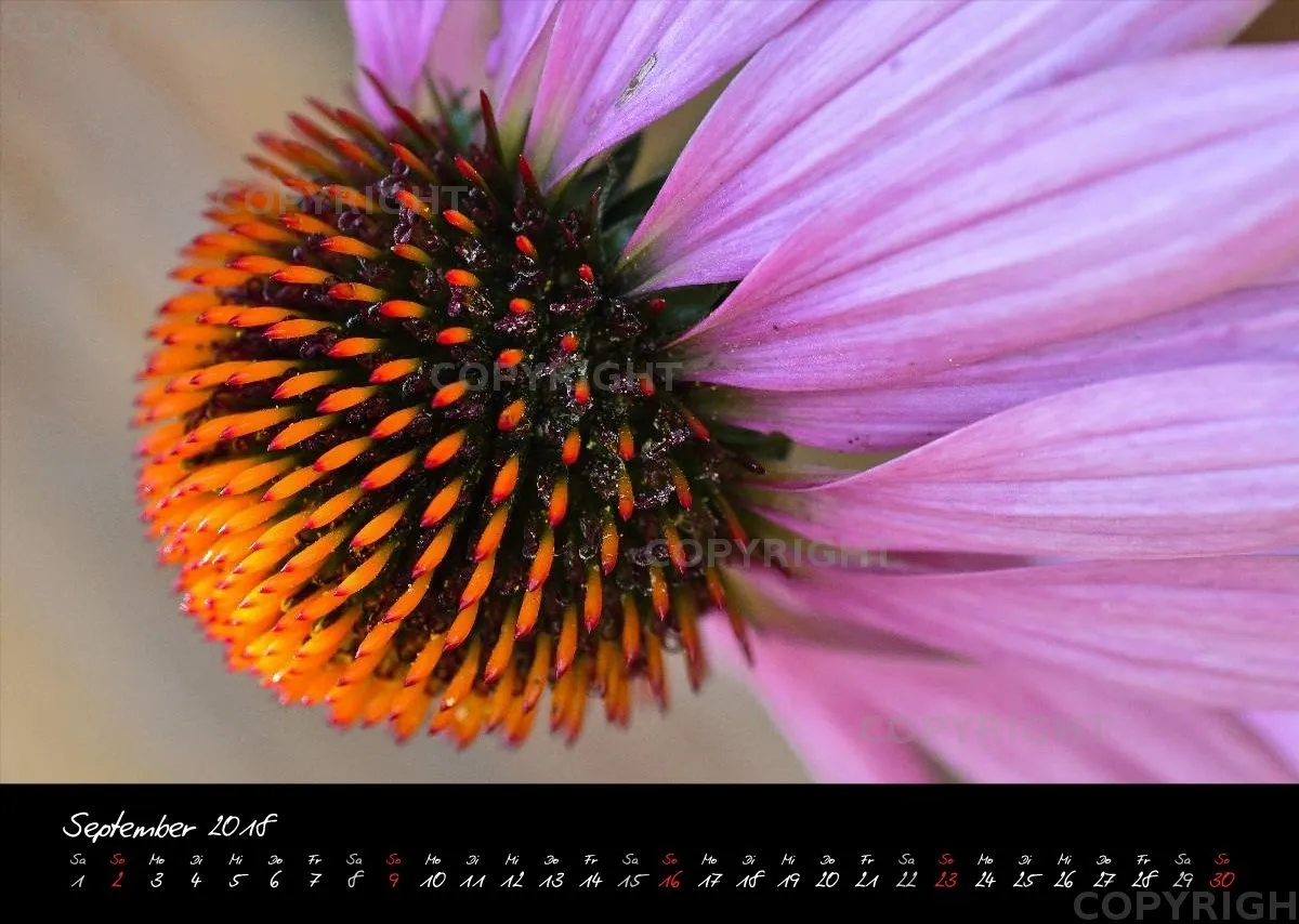 (4) Bildkalender A3 quer - Momente 2018