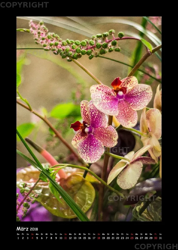 (34) Bildkalender A3 hoch - Gartenschau-Grüße 2018