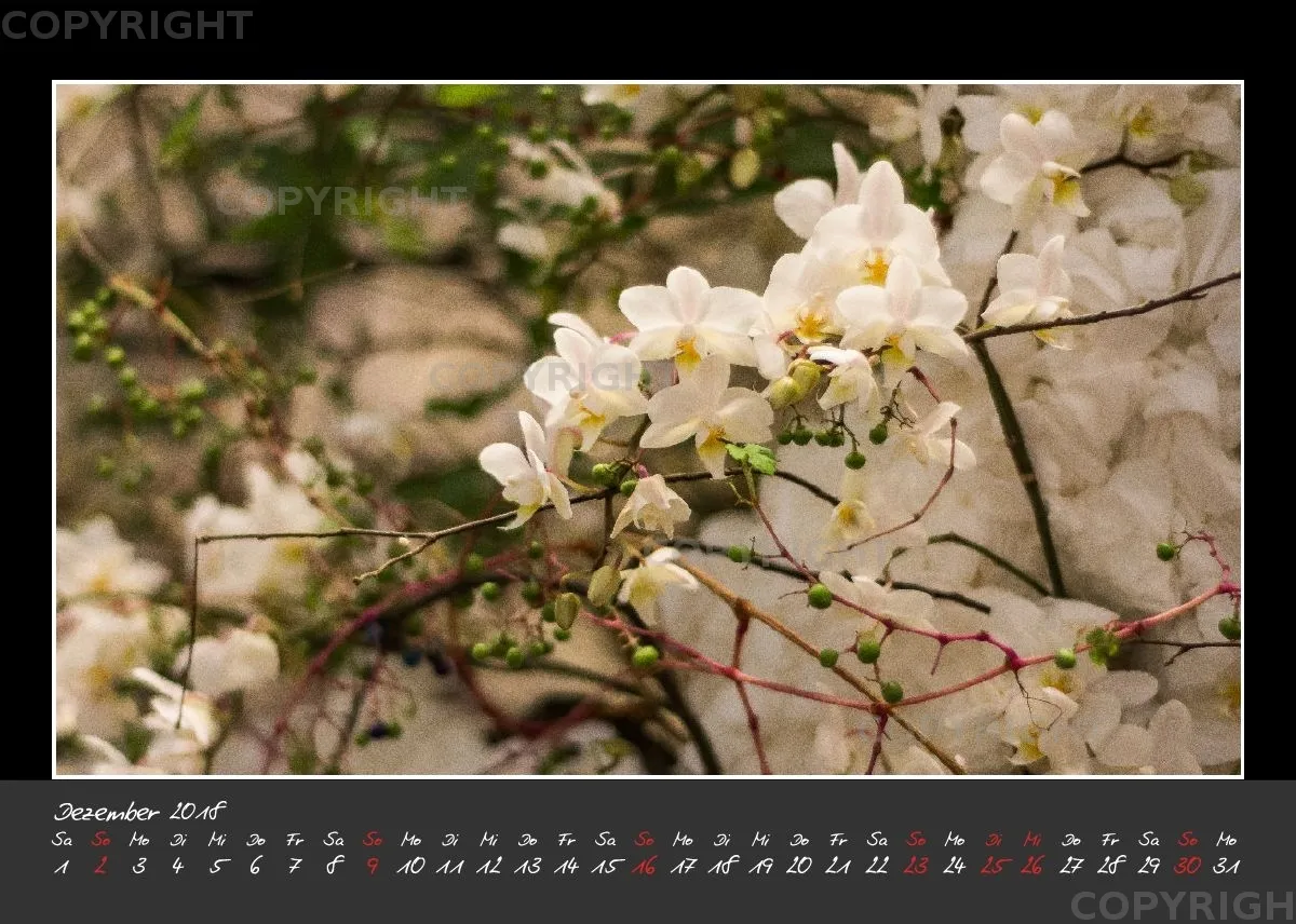 (32) Tischkalender A5 quer - Glücksmomente 2018