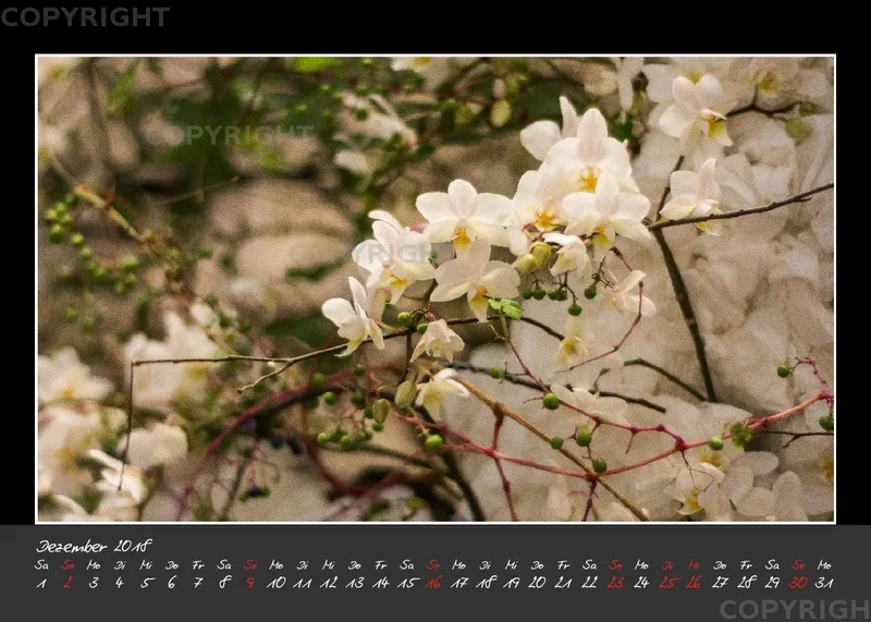 (32) Tischkalender A5 quer - Glücksmomente 2018