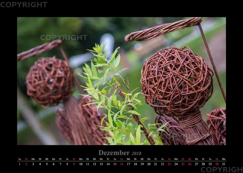 (45) Bildkalender A3 quer - Gartenschau 2018