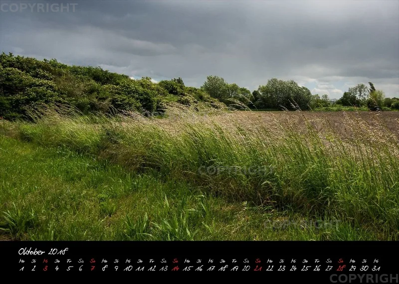 (8) Bildkalender A4 quer - Reilingen 2018