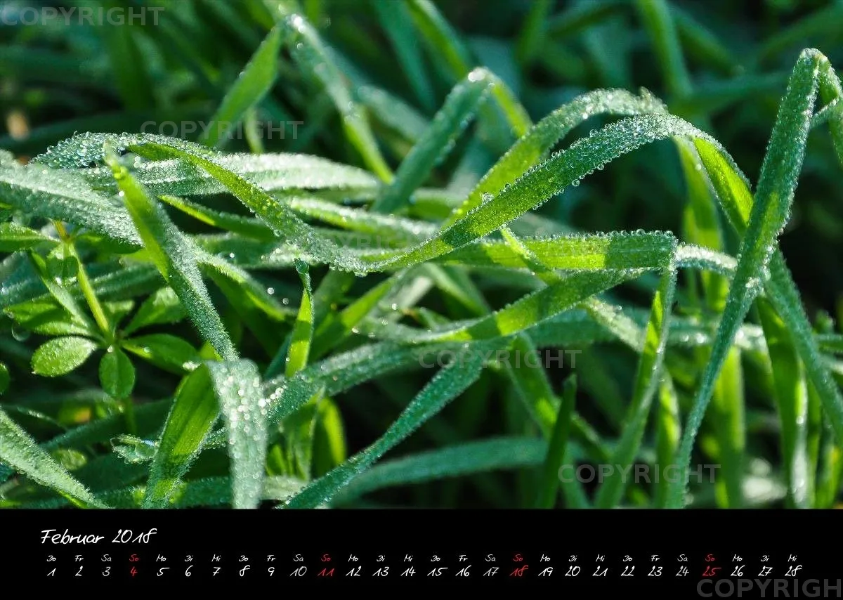 (4) Bildkalender A3 quer - Momente 2018