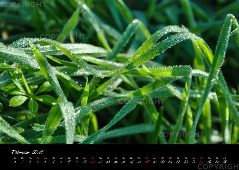 (4) Bildkalender A3 quer - Momente 2018