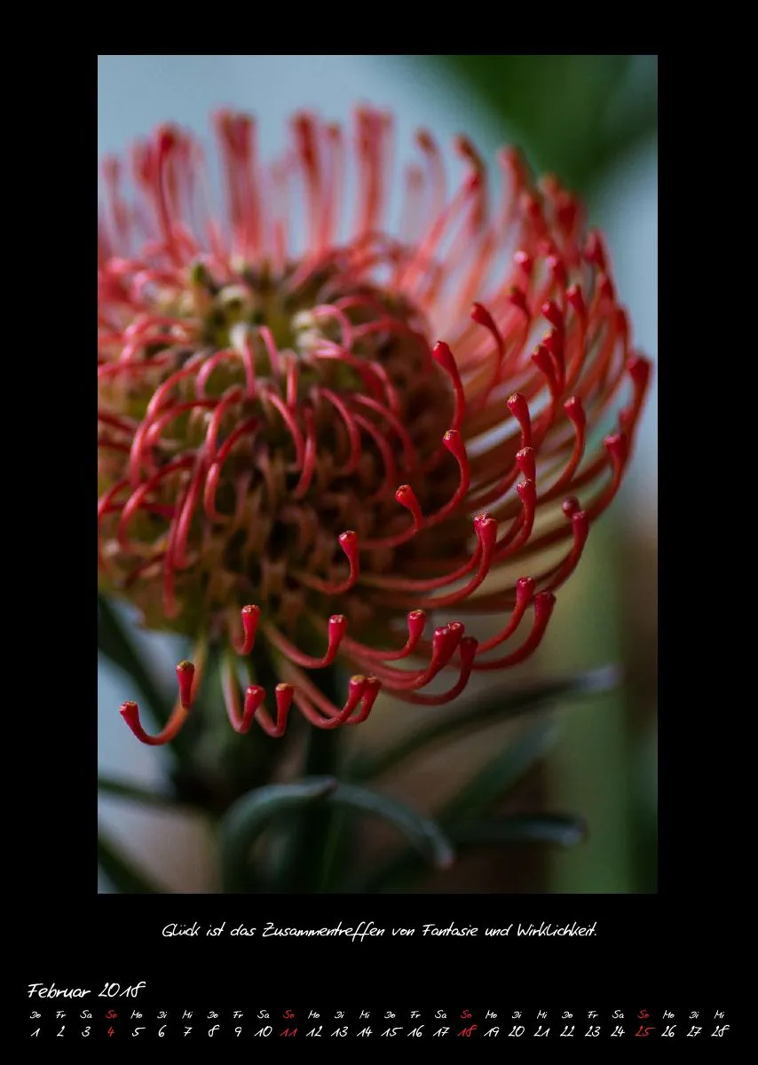 (27) Bildkalender A3 hoch - Natur im Detail 2018