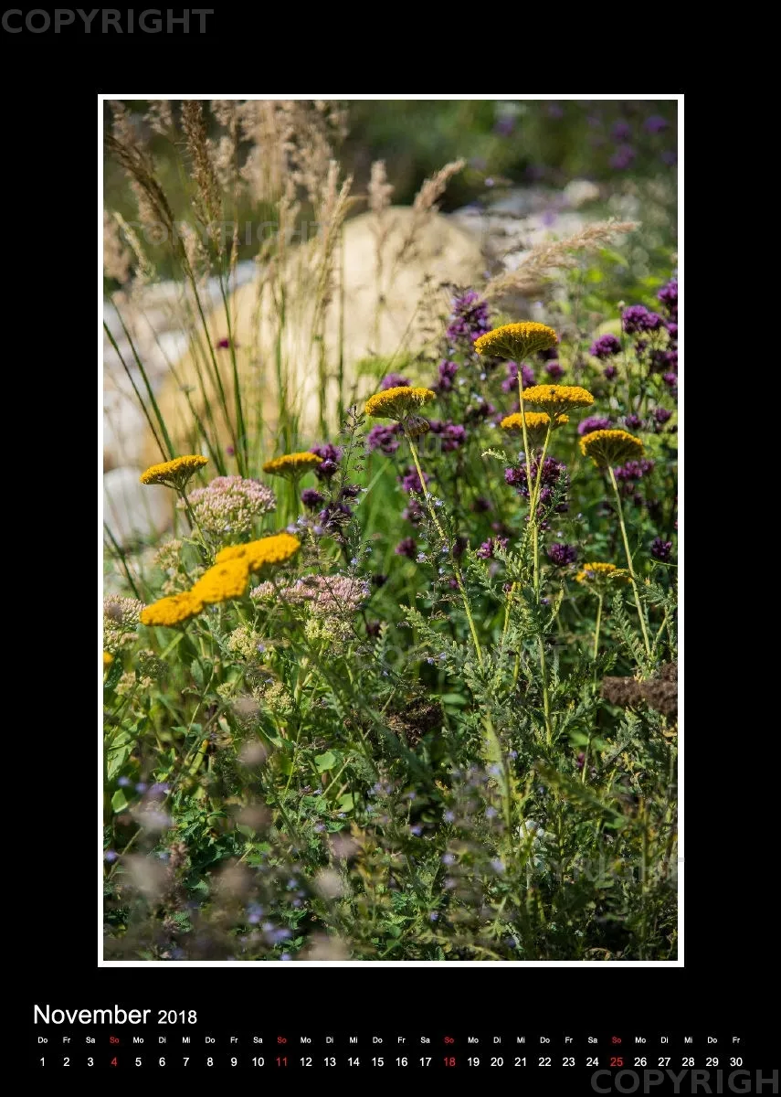 (48) Bildkalender A4 hoch - Gartenschau 2018