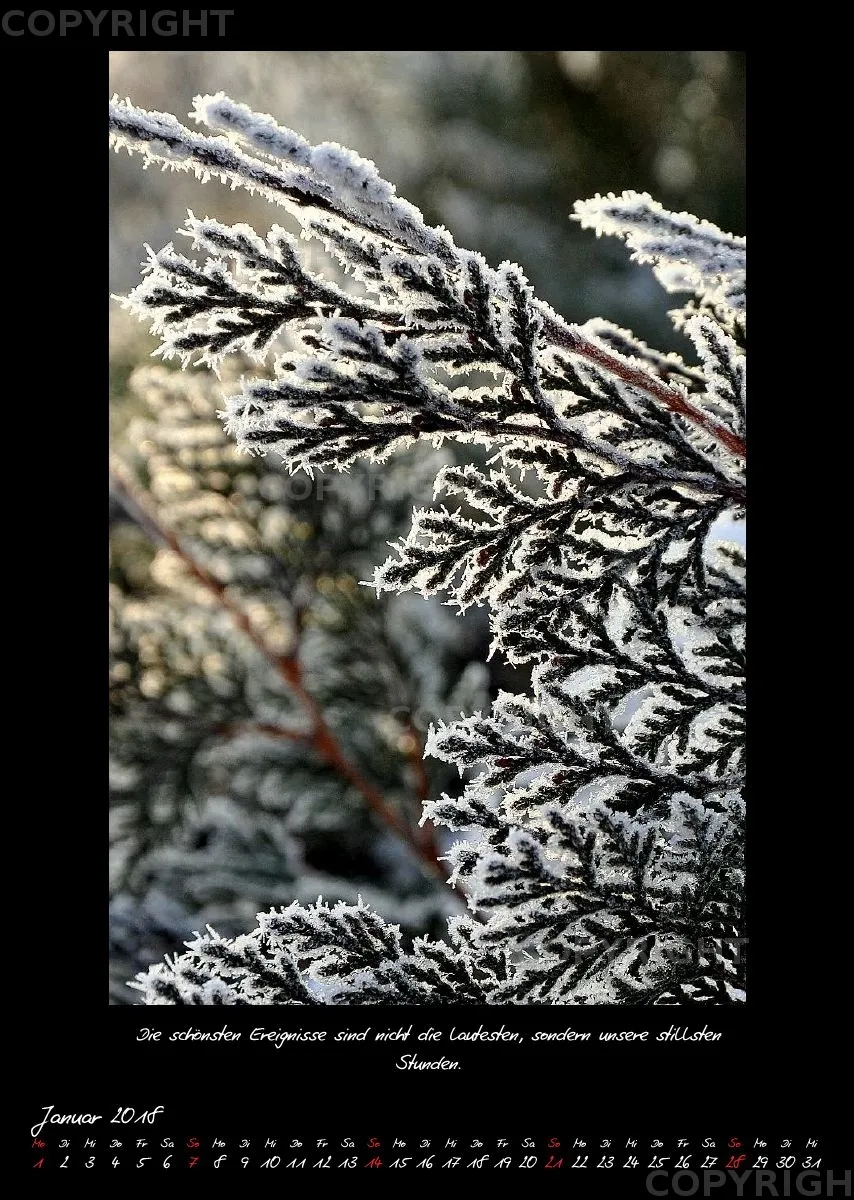 (31) Bildkalender A3 hoch - Naturweisheiten 2018