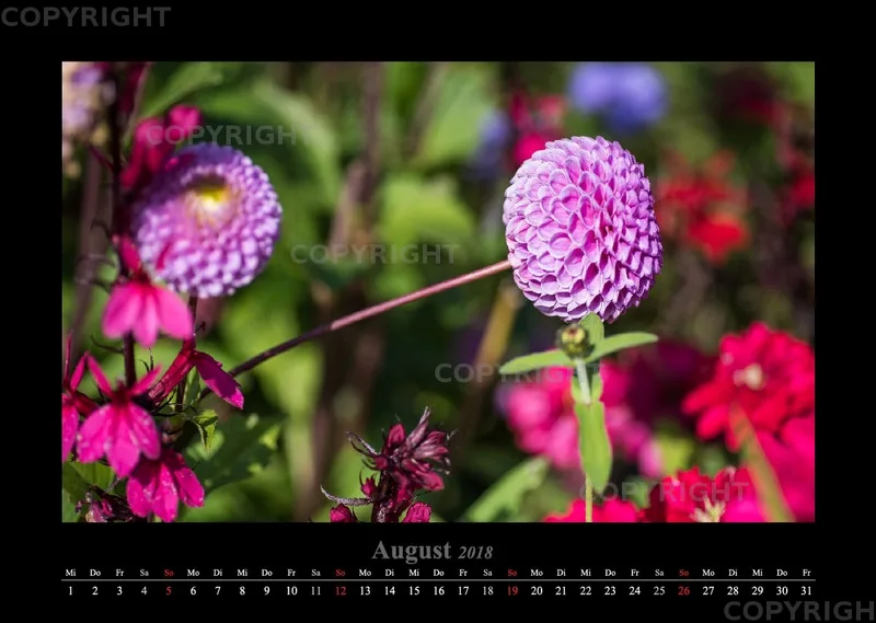 (45) Bildkalender A3 quer - Gartenschau 2018