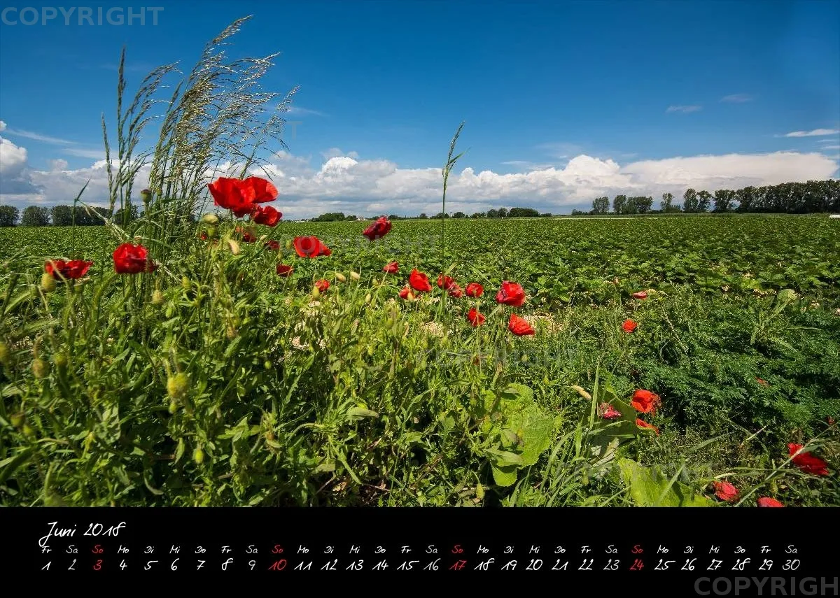(8) Bildkalender A4 quer - Reilingen 2018
