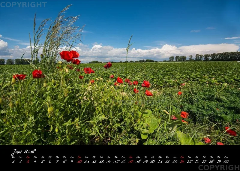 (8) Bildkalender A4 quer - Reilingen 2018