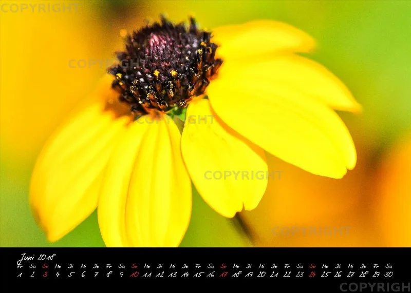 (3) Tischkalender A5 quer - Momente 2018