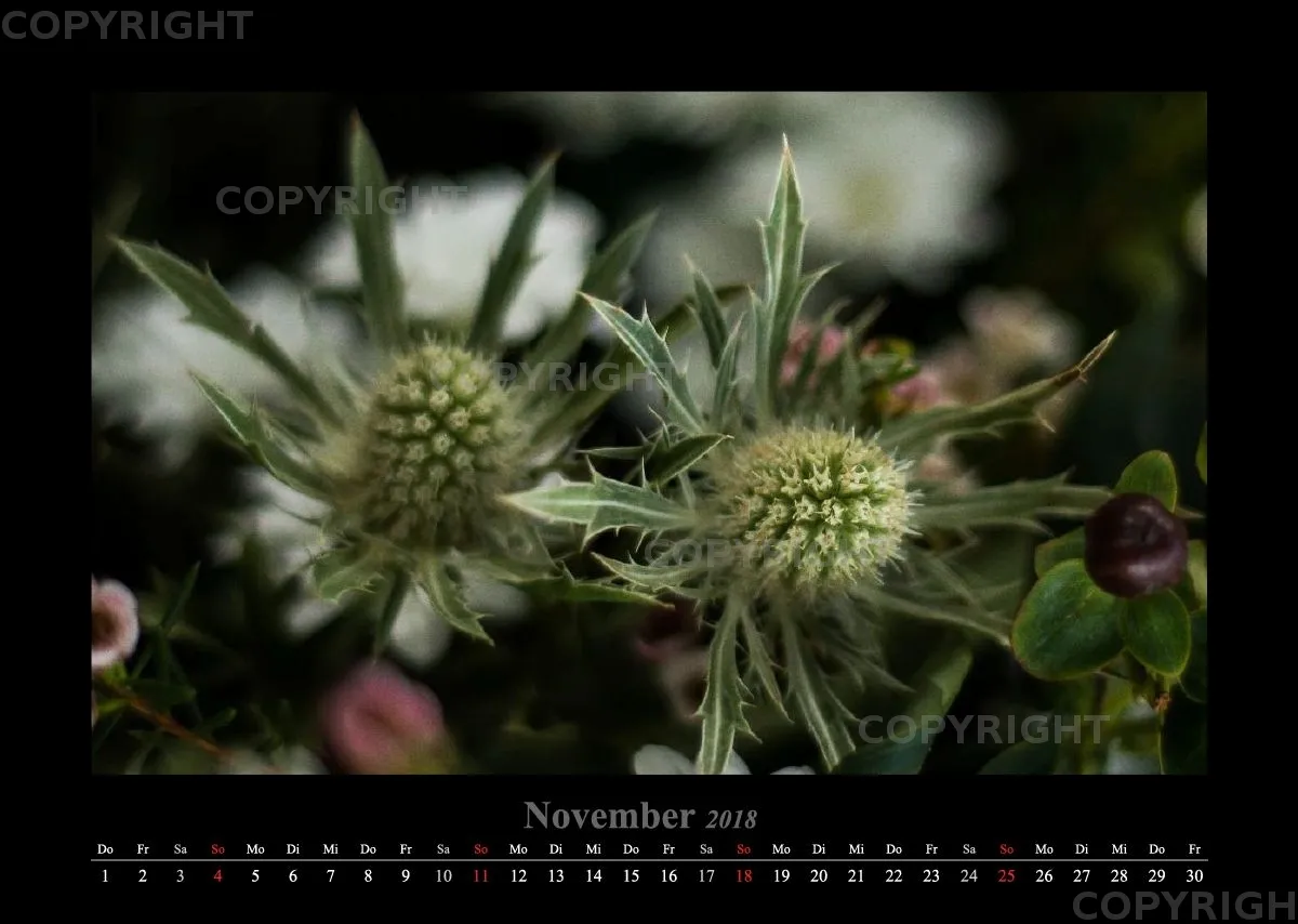 (22) Bildkalender A3 quer - Blumige Zeiten 2018