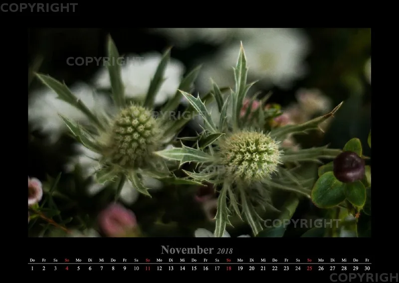 (22) Bildkalender A3 quer - Blumige Zeiten 2018