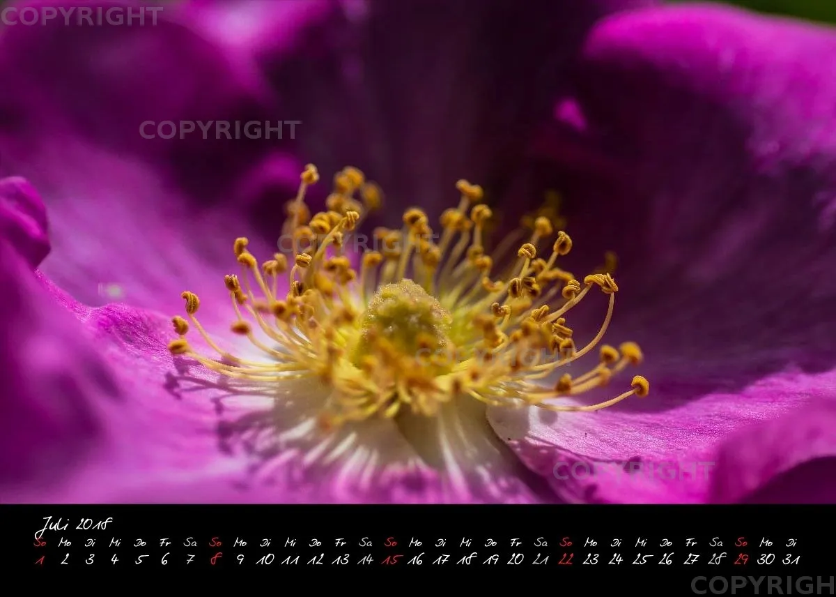 (3) Tischkalender A5 quer - Momente 2018