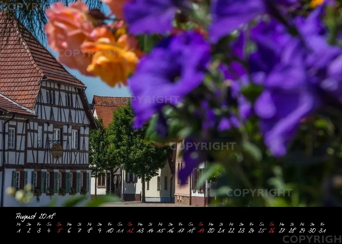 (8) Bildkalender A4 quer - Reilingen 2018
