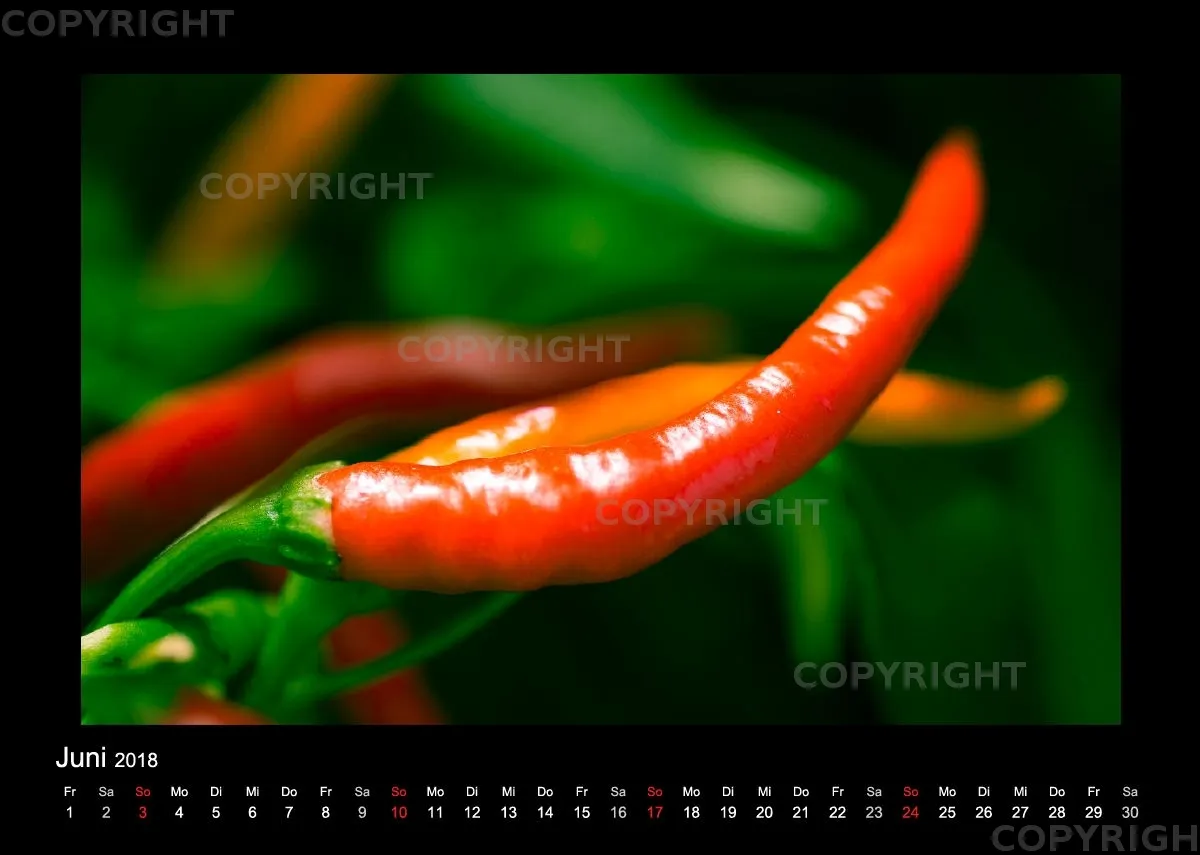 (46) Bildkalender A4 quer - Gartenschau 2018